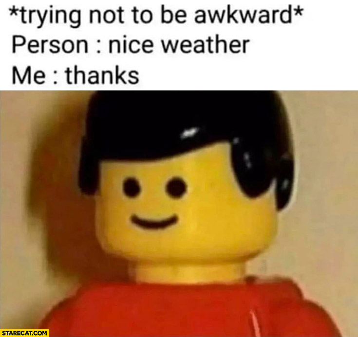Lego trying not to be awkward person: nice weather, me: thanks