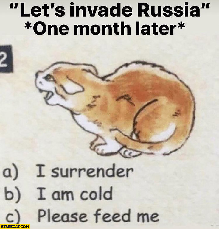 Let’s invade Russia, one month later: I surrender, I am cold please, feed me angry cat