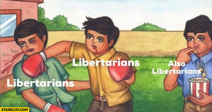 Libertarians fighting other libertarians also libertarians watching