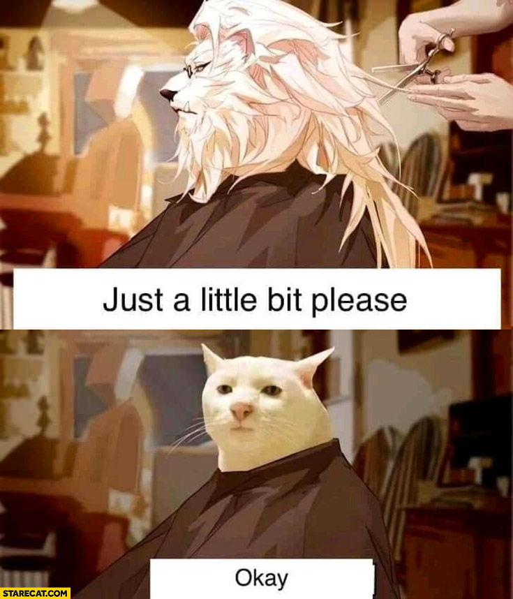 Lion at the barber just a little bit please comes out as a cat okay