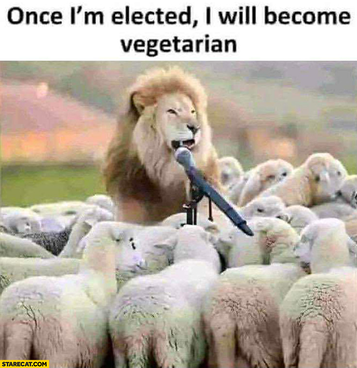Lion to sheep: once: I’m elected I will become vegetarian
