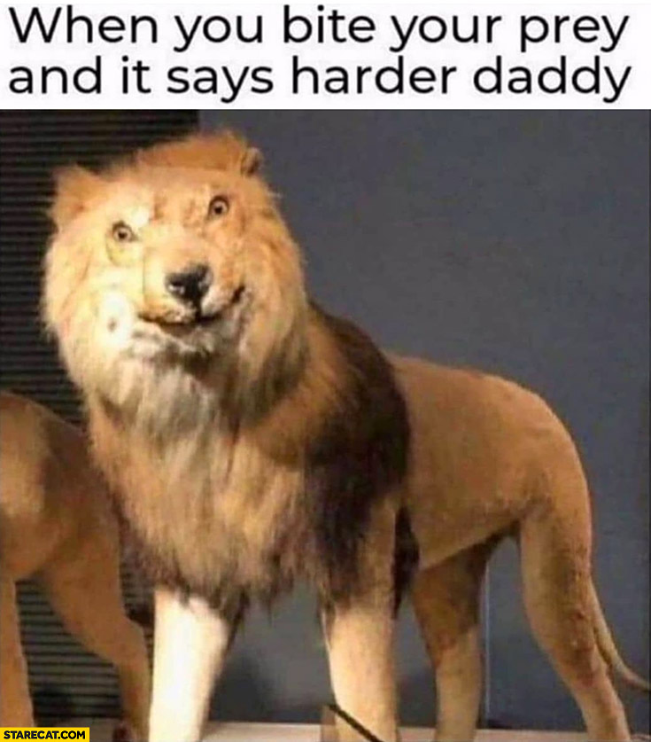 Lion when you bite your prey and it says harder daddy