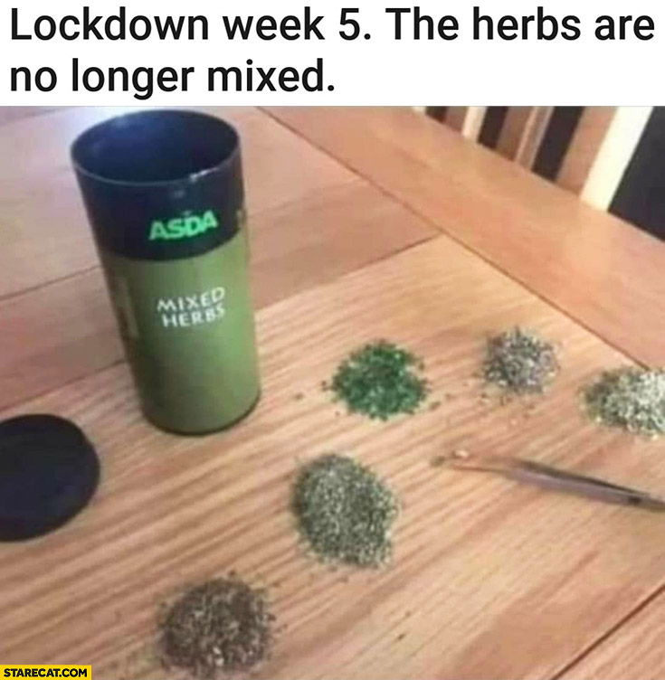 Lockdown week 5: the herbs are no longer mixed