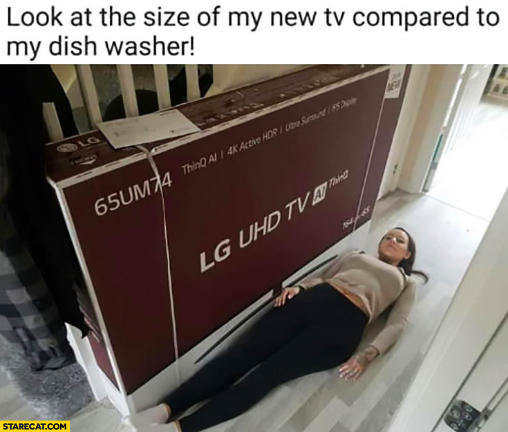 Look at the size of my new TV compared to my dishwasher wife
