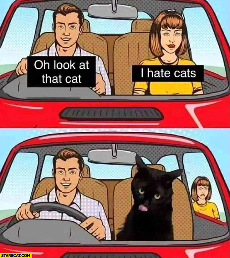 Man oh look at that cat woman, I hate cats, he left her and took the cat