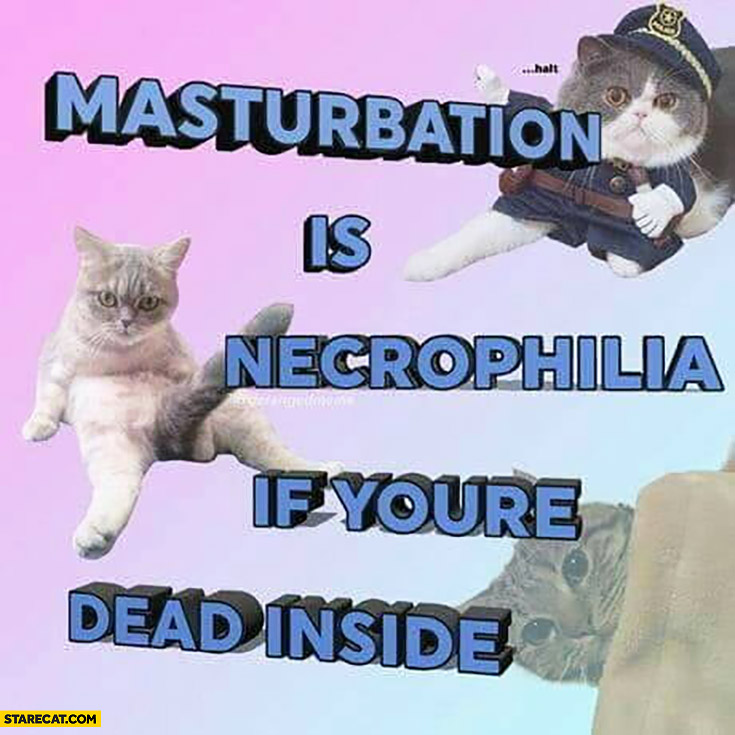 Masterbation is necrophilia if you’re dead inside weird cats meme