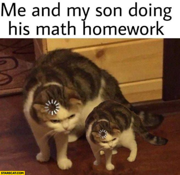 Me and my son doing his math homework confused cat