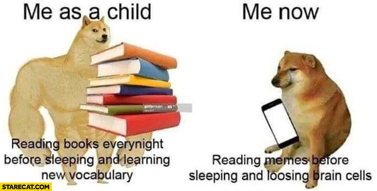 Me as a child reading books every night before sleeping and learning new vocabulary vs me now reading memes before sleeping and loosing brain cells dog doge