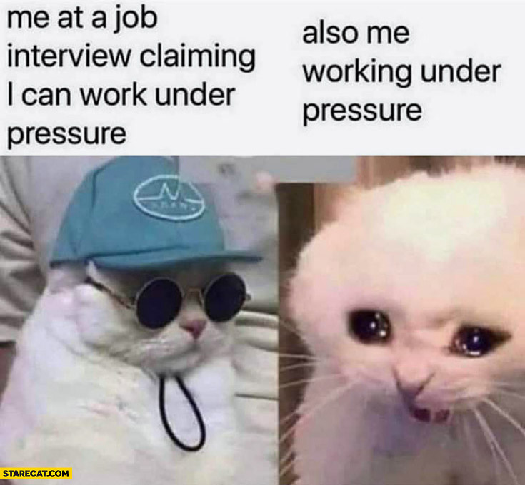Me at a job interview claiming I can work under pressure vs also me working under pressure cat cats