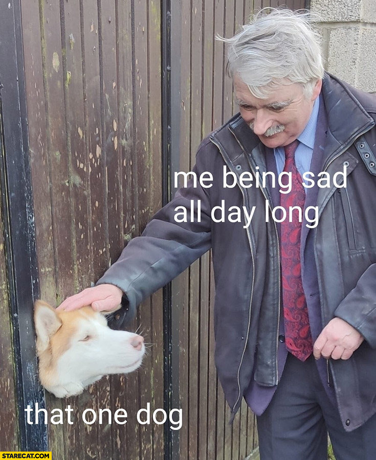 Me being sad all day long vs that one dog
