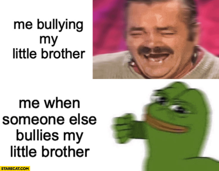 Me bullying my little brother vs me when someone else bullies my little brother Pepe punch