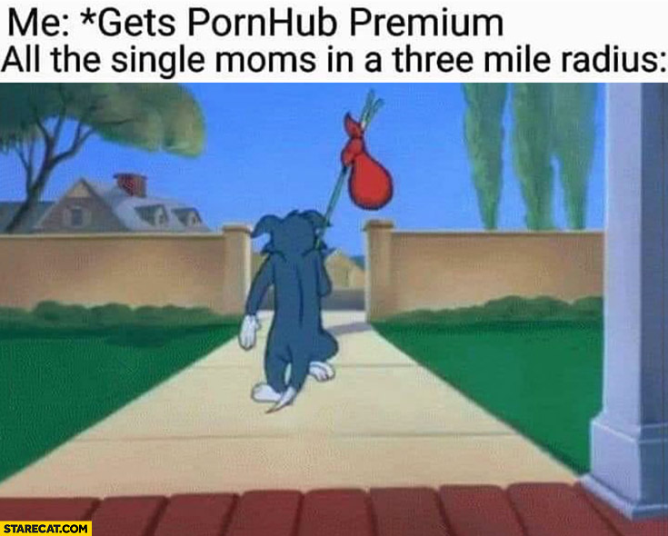 Me: gets pornhub premium, all the single moms in a three mile radius leave disappointed