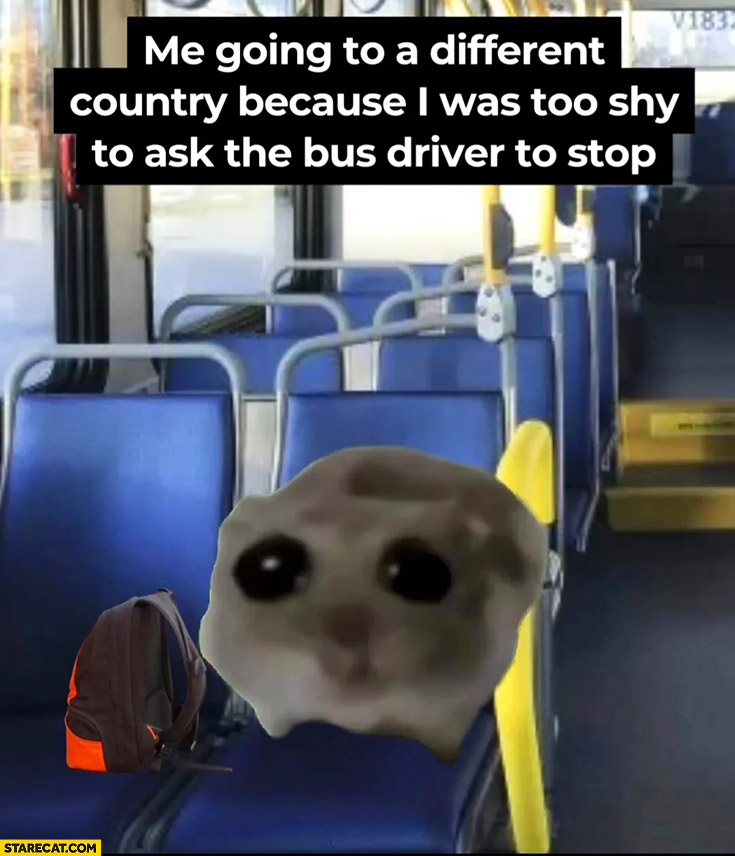 Me going to a different country because I was too shy to ask the bus driver to stop
