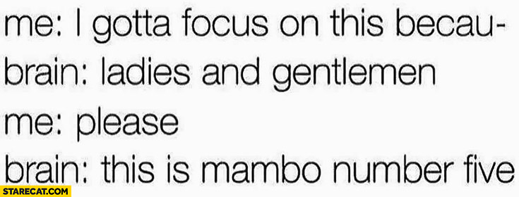 Me: I gotta focus on this. Brain: ladies and gentlemen, this is mambo number five. Me: please