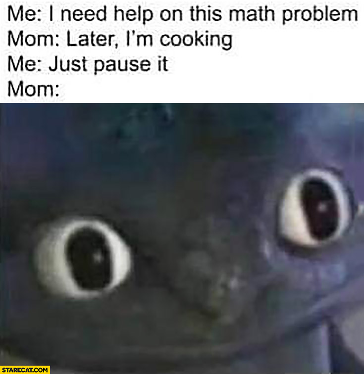 Me: I need help on this math problem, mom: later I’m cooking, me: just pause it, mom confused