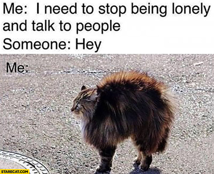 Me: I need to stop being lonely and talk to people, someone: hey, me: scared cat