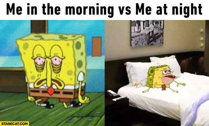 Me in the morning vs me at night Spongebob