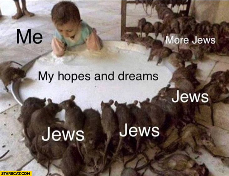 Me, my hopes and dreams vs jews rats