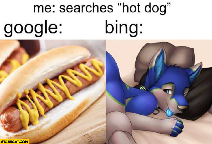 Me: searches hot dog, google and bing different results