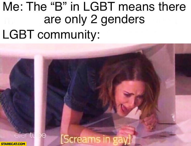 Me: the b in LGBT means there are only 2 genders, LGBT community screams