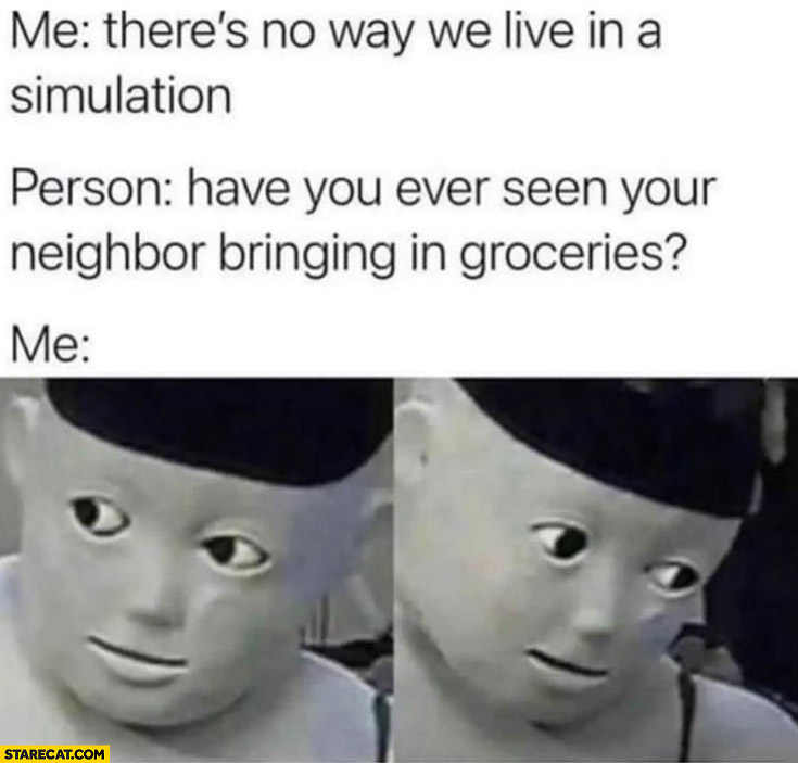Me: there’s no way we live in a simulation person have you ever seen your neighbor bringing in groceries