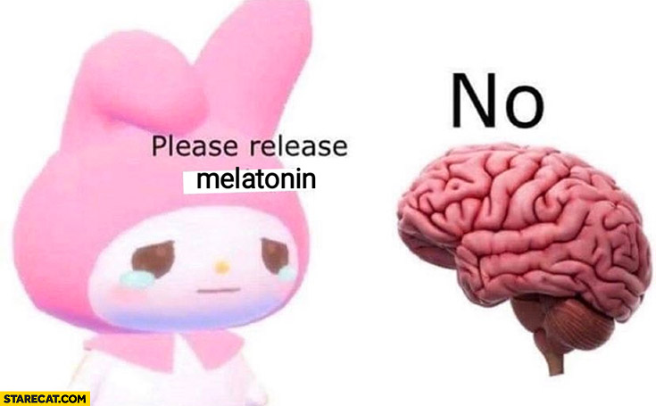 Me to my brain: please release melatonin. brain answers: no