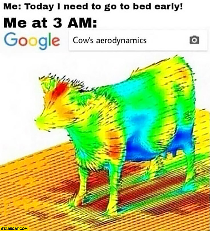 Me: today I need to go to bed early, me at 3 am: cow’s aerodynamics