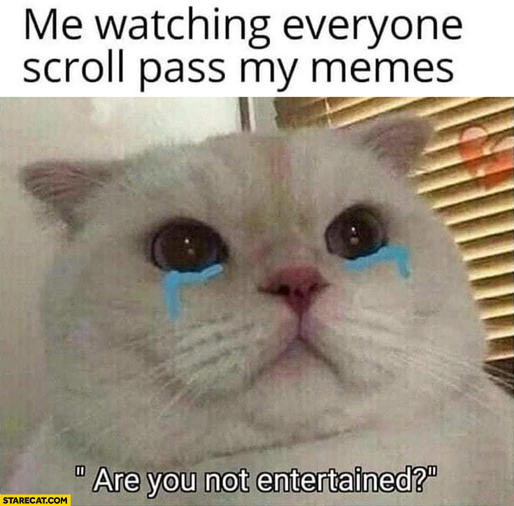 Me watching everyone scroll pass my memes, are you not entertained? Cat crying
