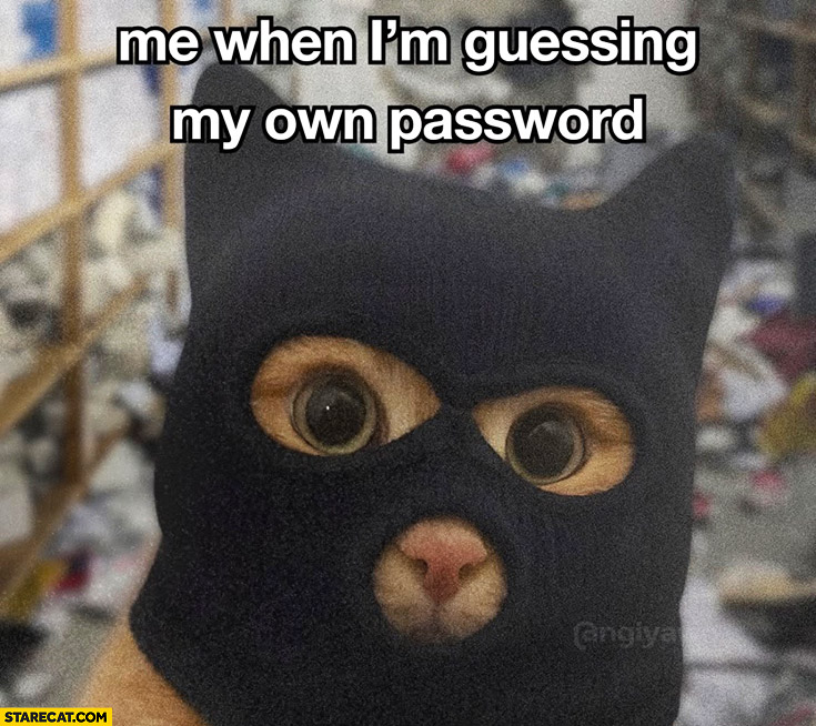 Me when I’m guessing my own password balaclava cat