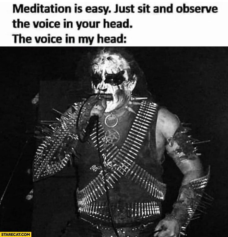 Meditation is easy just sit and observe the voice in your head vs the voice in my head metal band singer