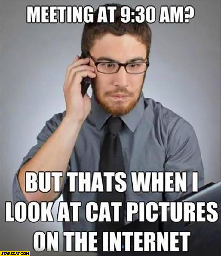 Meeting at 9:30 AM but that’s when I look at cat pictures on the internet