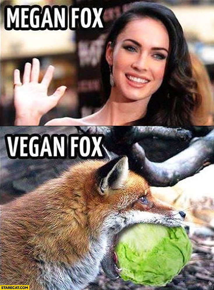 Megan fox vegan fox