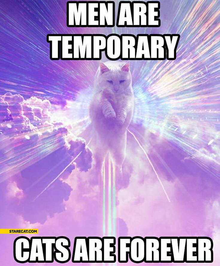 Men are temporary cats are forever