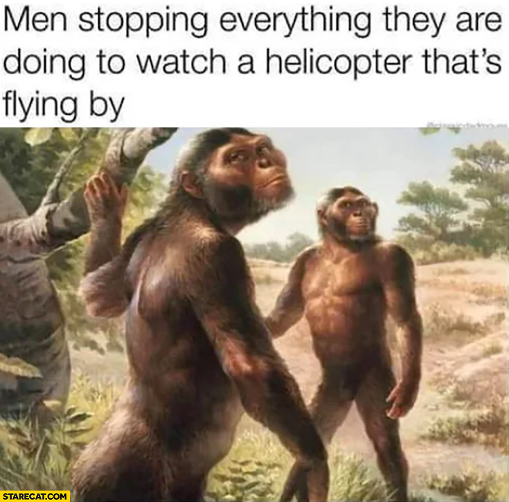 Men stopping everything they are doing to watch a helicopter that’s flying by monkeys