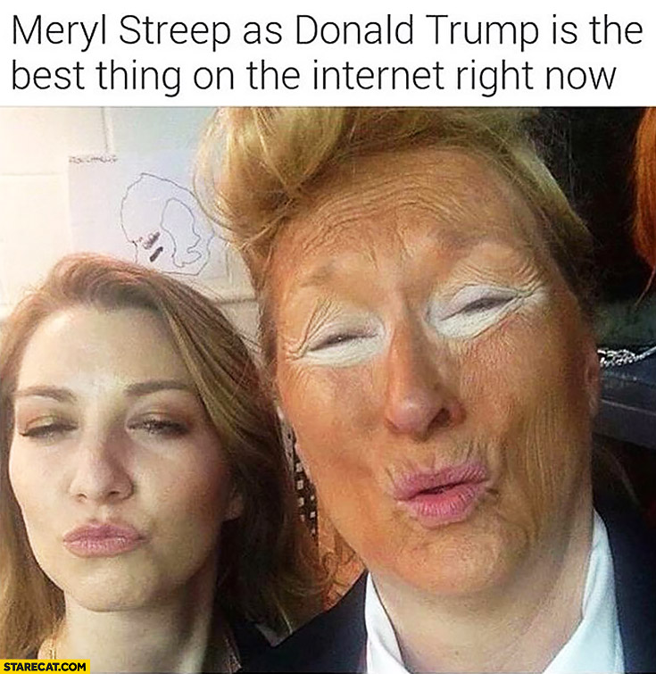 Meryl Streep as Donald Trump is the best on the internet right now