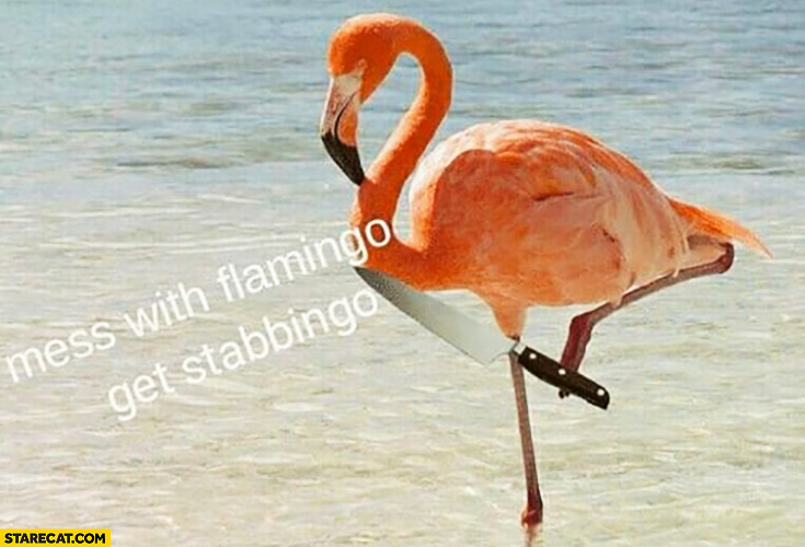 Mess with flamingo get stabbingo