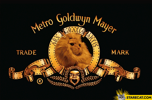 Metro Goldwyn Mayer intro cat