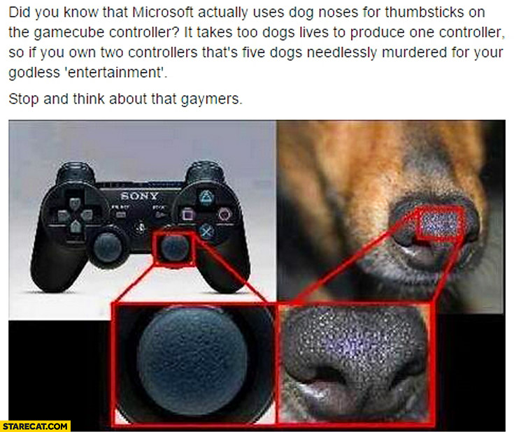 Microsoft uses dog noses for thumbsticks on the gamecube controller Sony Playstation