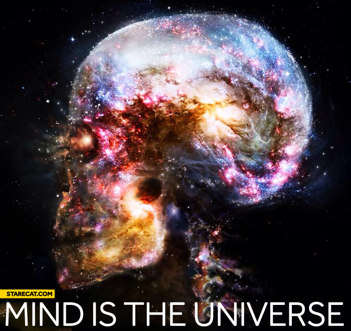 Mind is the universe