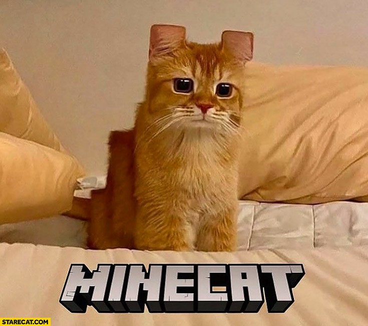 Minecraft cat minecat rectangular