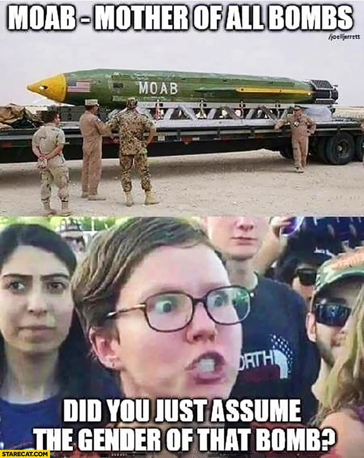 MOAB mother of all bombs – did you just assume the gender of that bomb? Angry triggered feminist