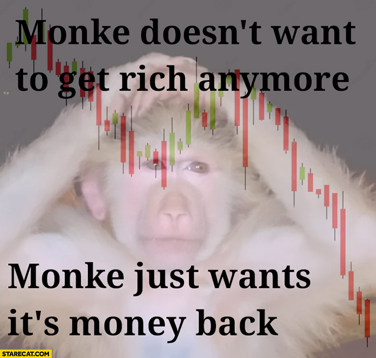Monke doesn’t want to get rich anymore, monke just wants it’s money back