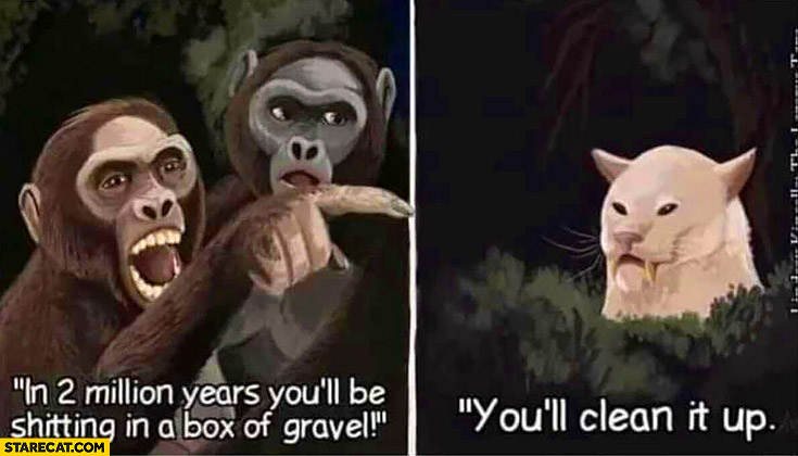 Monkey to cat in 2 million years you’ll be shitting in a box of gravel, you’ll clean it up