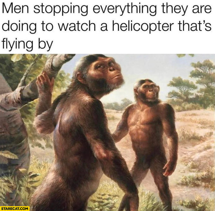 Monkeys men stopping everything they are doing to watch a helicopter thats flying by