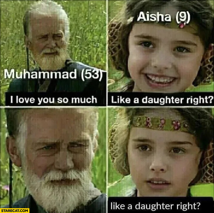 Muhammad age 53: I love you so much, Aisha age 9: like a daughter, right? Star Wars Anakin meme