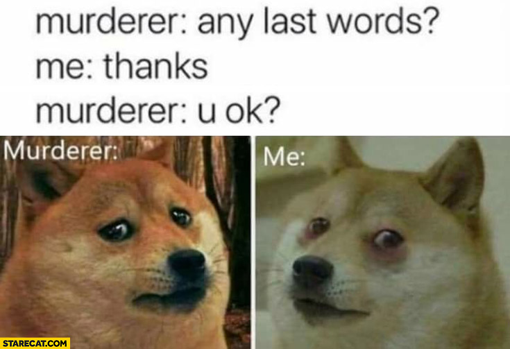 Murderer: any last words? Me: thanks, murderer: you ok? Dog doge