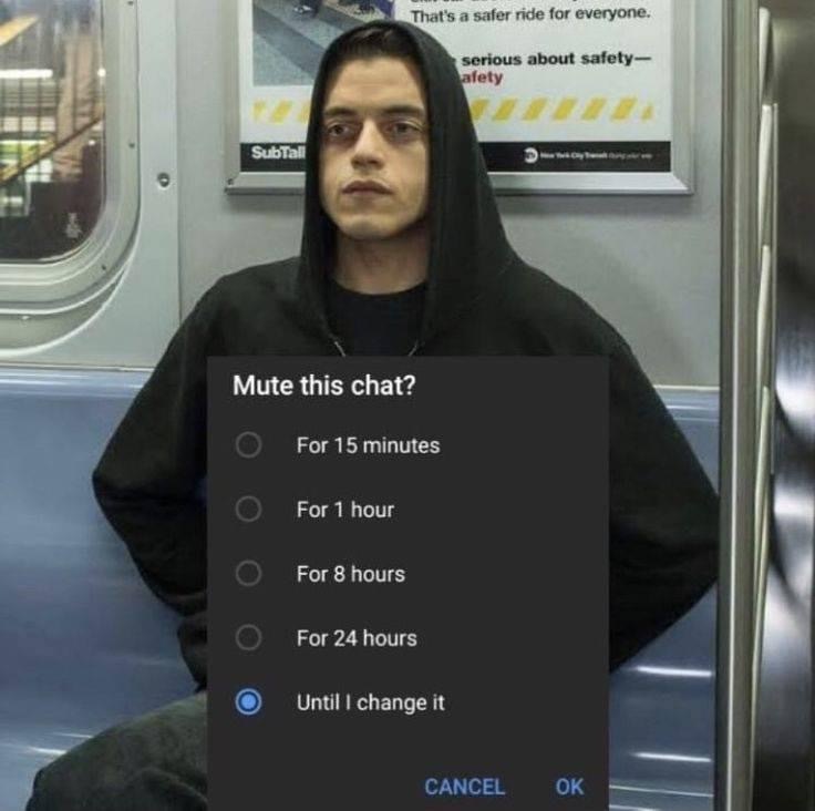 Mute this chat until I change it Mr Robot