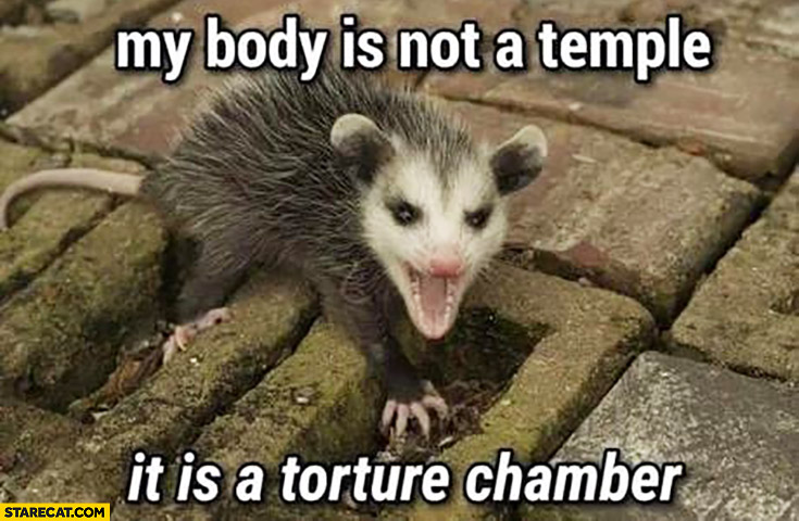 My body is not a temple it is a torture chamber