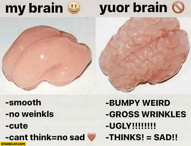 My brain: smooth, no wrinkles, cute, can’t think = no sad vs your brain: bumpy, weird, gross wrinkles, ugly thinks = sad