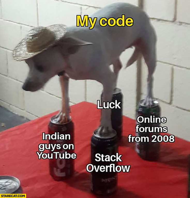My code dog standing on cans indian guys on YouTube, stack overflow, luck, online forums from 2008